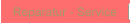 Reparatur - Service